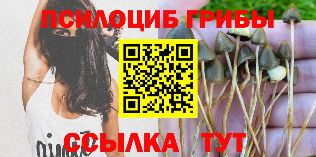 Псилоцибиновые грибы Magic Shrooms  Галлюциногенные грибы Psilocybe  Вход с VPN  Пятигорск 